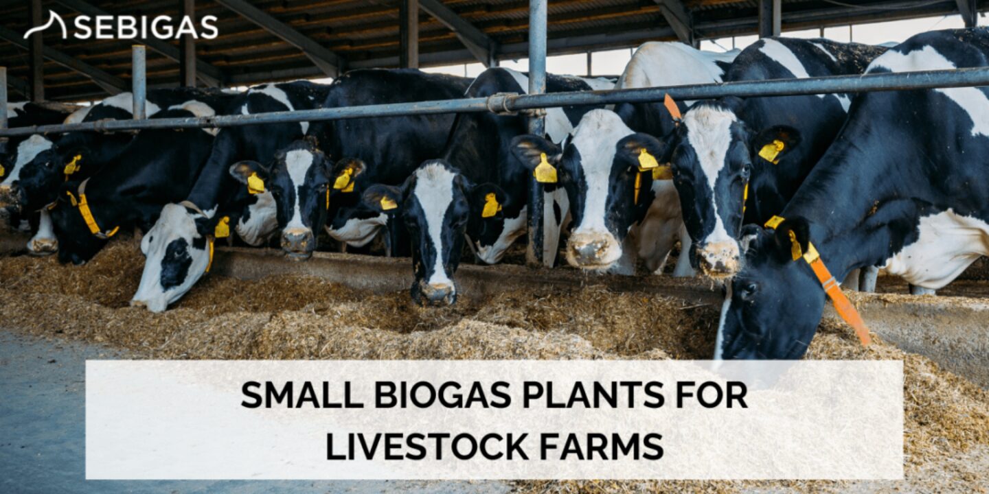 ICCIAUS Member Sebigas presents: Small Biogas Plants for Livestock Farms